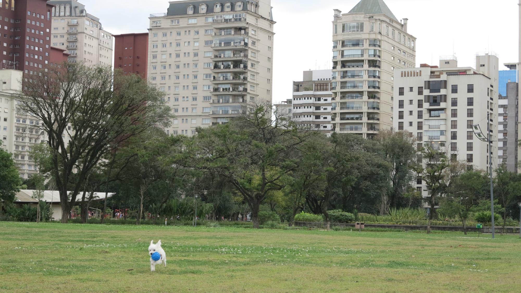 Parque Do Povo (São Paulo) - Lo Que Se Debe Saber Antes De Viajar ...