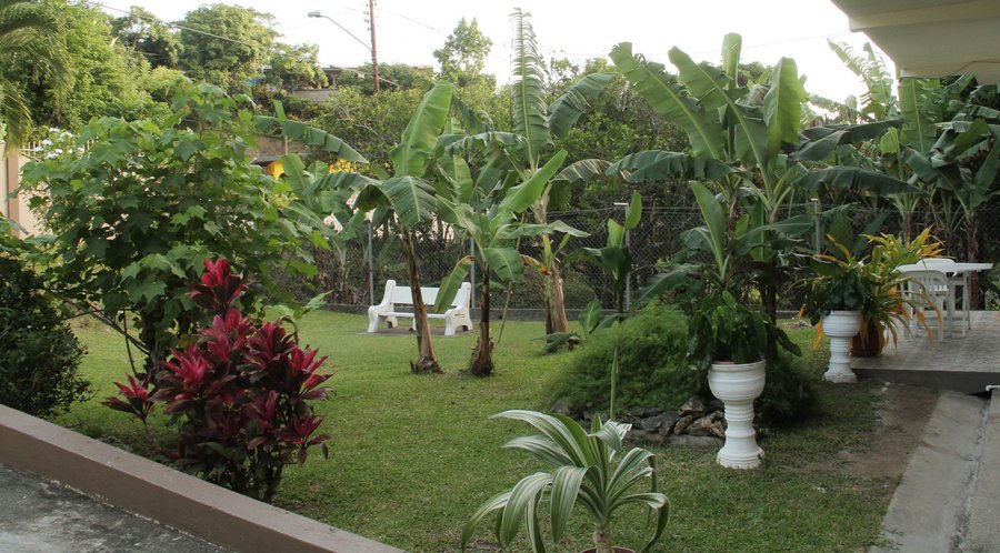 Yard