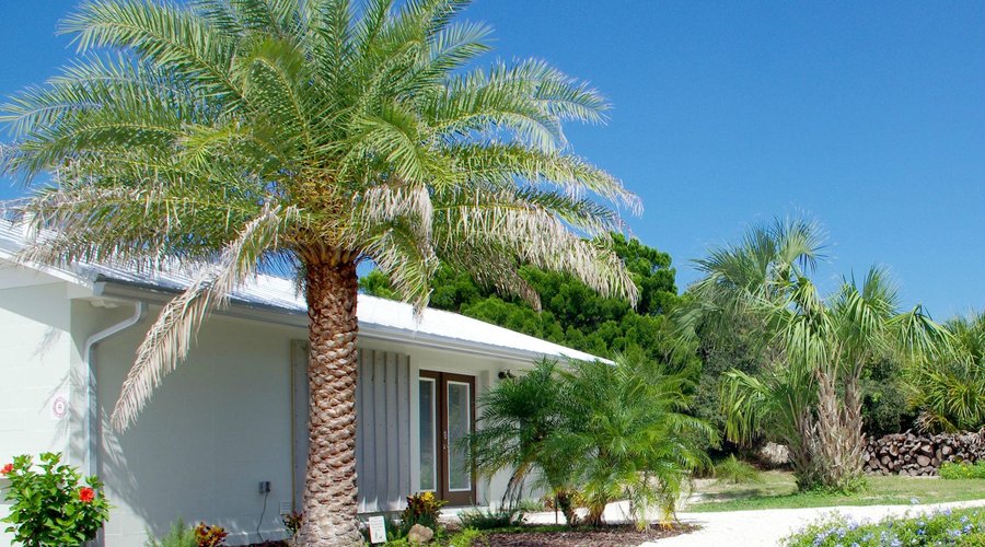 Pelican Cottage