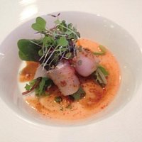 fantasy yellowtail