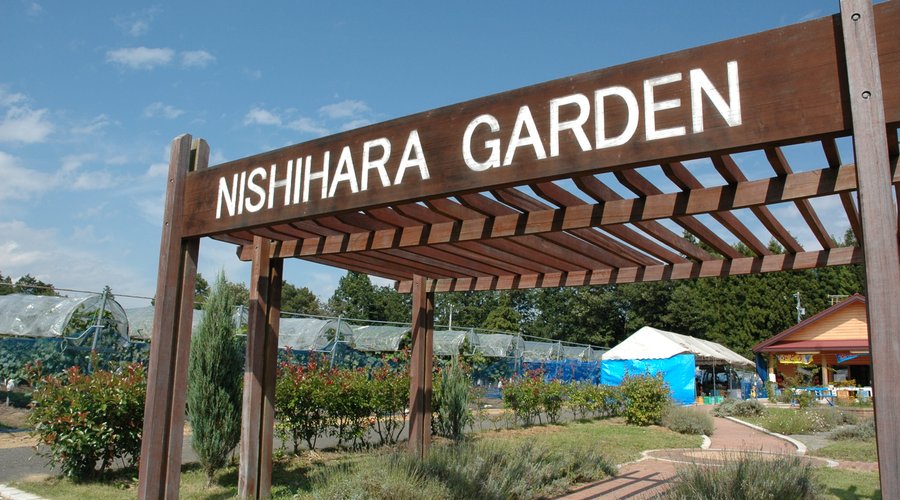 西原ぶどう園　甘さに感動！！