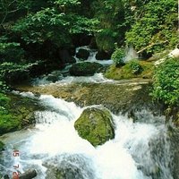 magico
