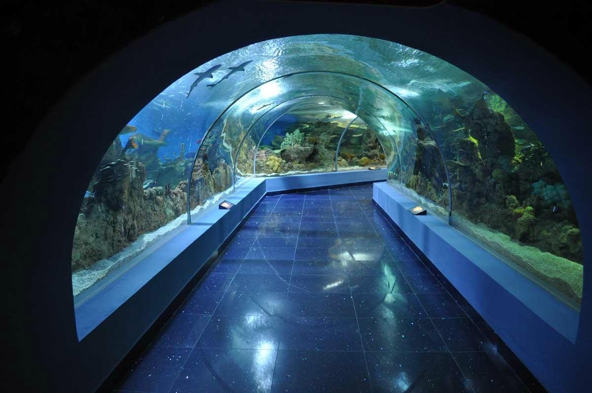 Fakieh Aquarium, Джидда: лучшие советы перед посещением - Tripadvisor