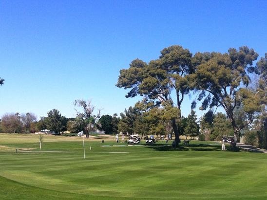 Yuma Golf & Country Club - All You Need to Know BEFORE You Go