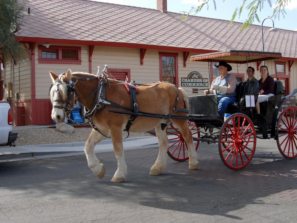 ARIZONA HORSE CARRIAGE & WAGON (Morristown) - All You Need to Know ...