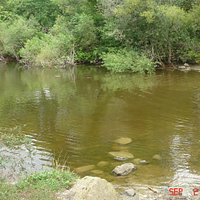 The Pond