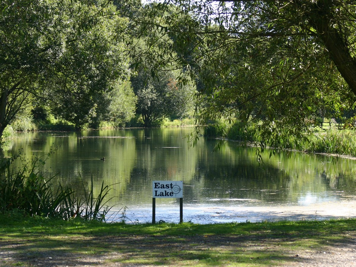 CHALK SPRINGS TROUT FISHERY (Arundel) - All You Need to Know BEFORE You Go