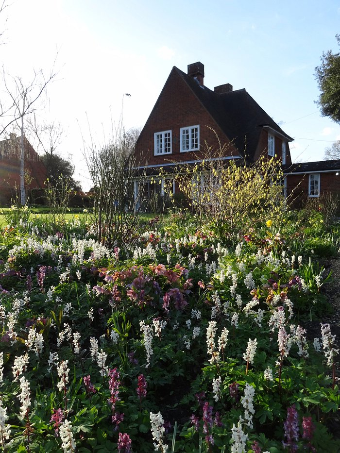 Rosemary garden in March 2013
