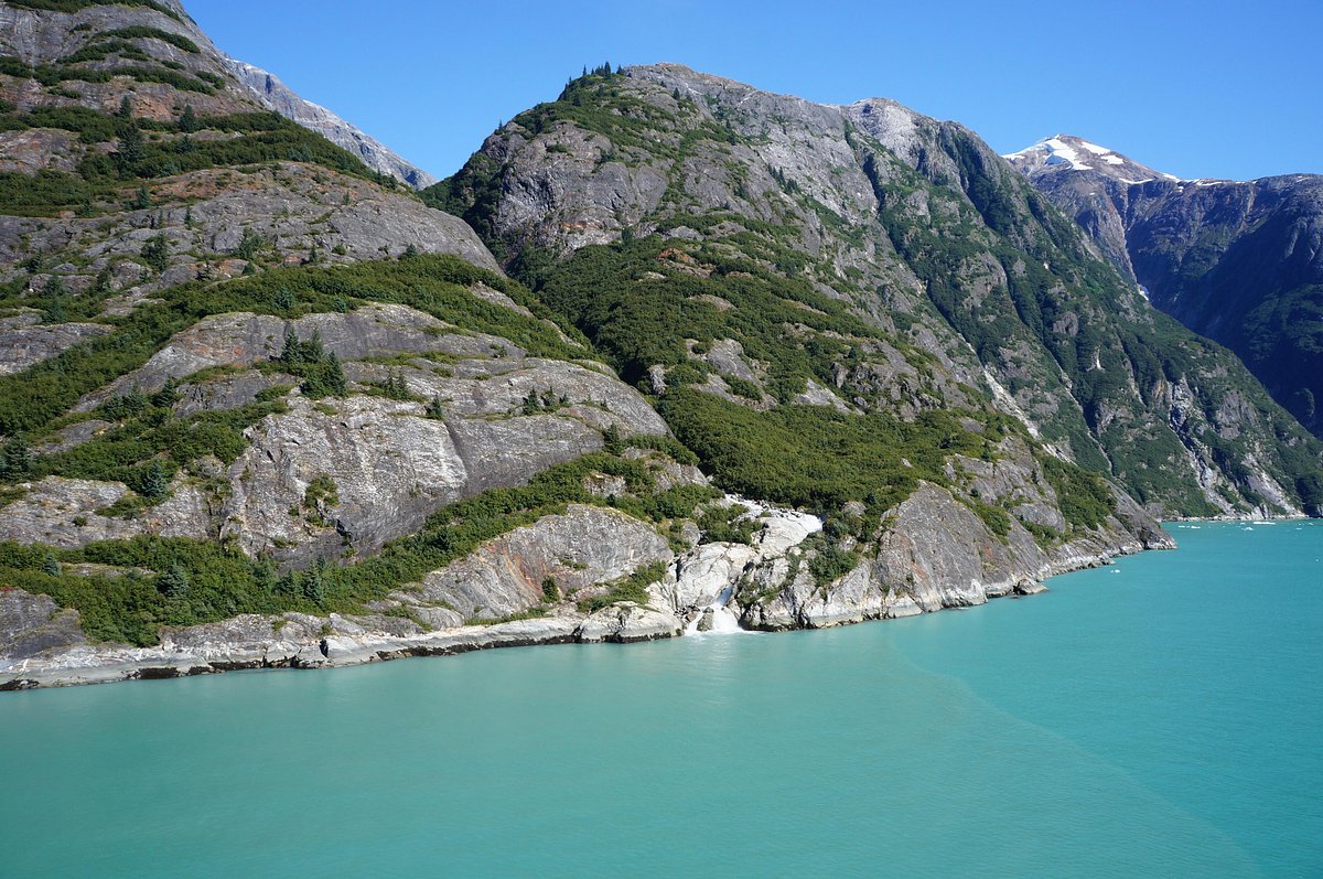 tracy arm fjord tour reviews