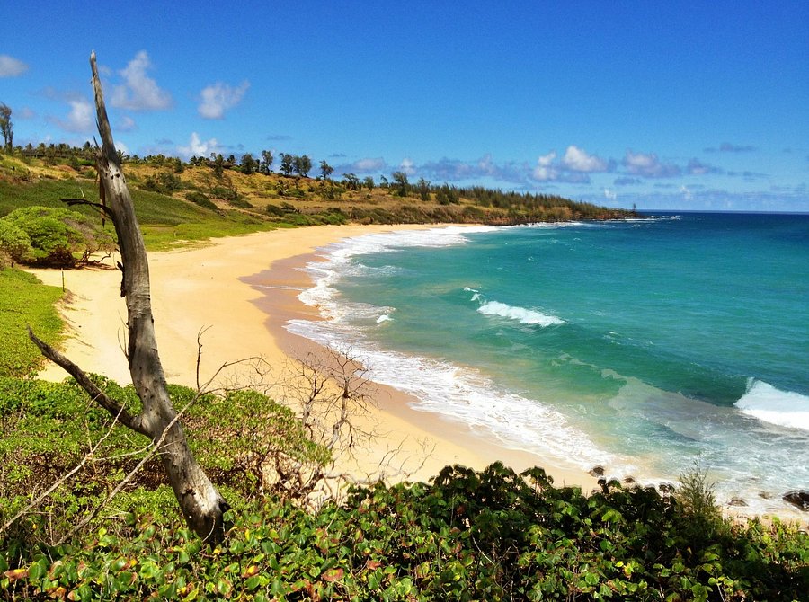 MOANA KAI BEACH HOUSES - Prices & Villa Reviews (Kauai, Hawaii