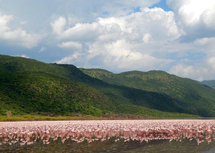 Lake Bogoria
