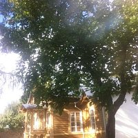 летнее ателье Адамсона - маленький домик и сад с лежаком
