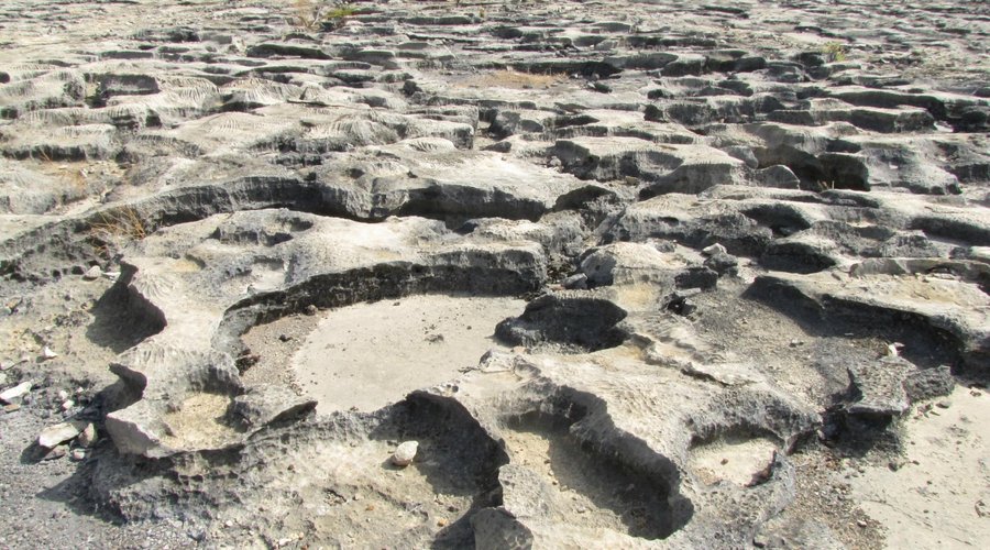 Lagedo de Apodi, calcareous rock - razor sharp