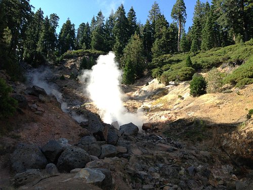 Map of Calistoga or Little Geysers and the Hot Sulphur Springs