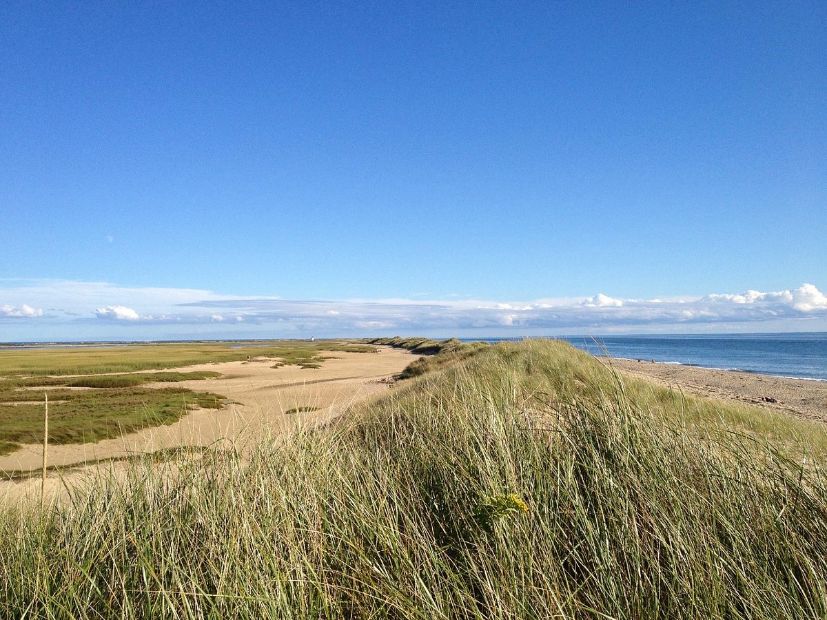 Herring Cove Beach, Провинстаун: лучшие советы перед посещением -  Tripadvisor