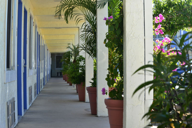 Hotel photo 11 of Americas Best Value Inn Bradenton Sarasota.