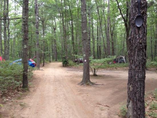 Escape to Serenity: Your Guide to Maine's Stadig Campground