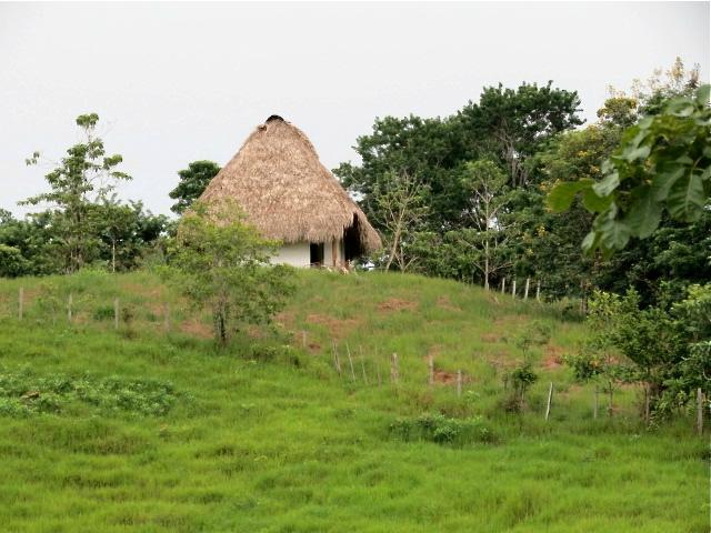 Hotel photo 8 of Hacienda Tijax.