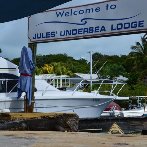 Jules Undersea Lodge image