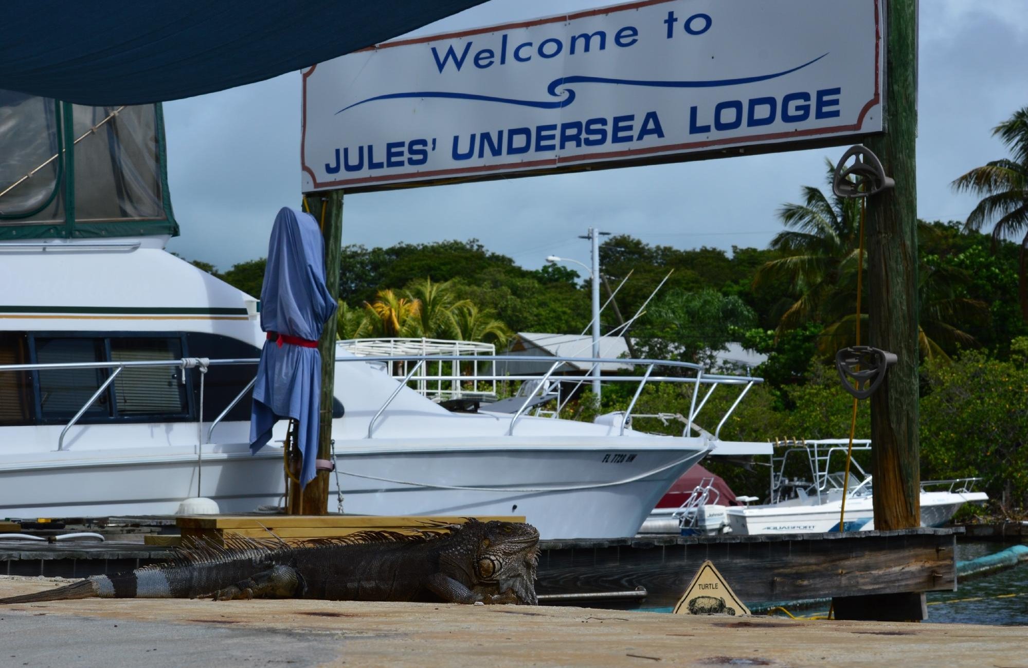 Jules Undersea Lodge by null