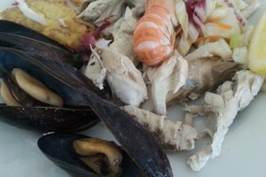 Cibo
