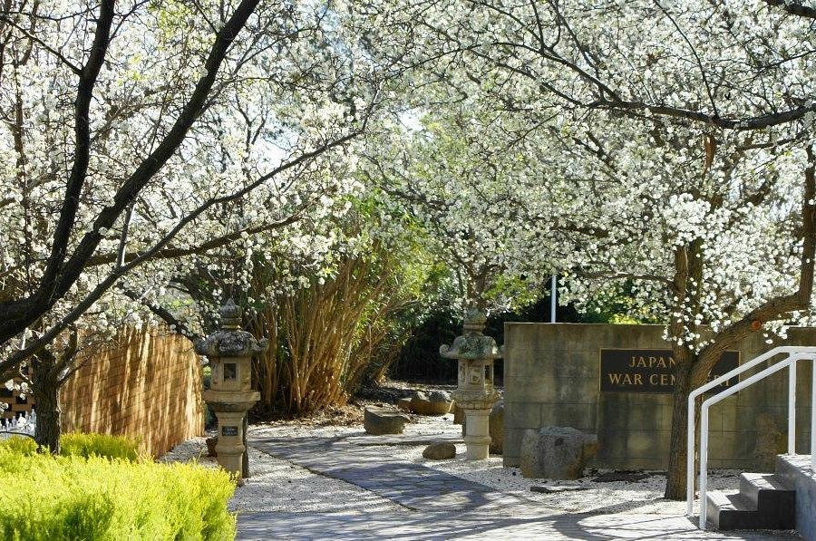 Japanese War Cemetery image