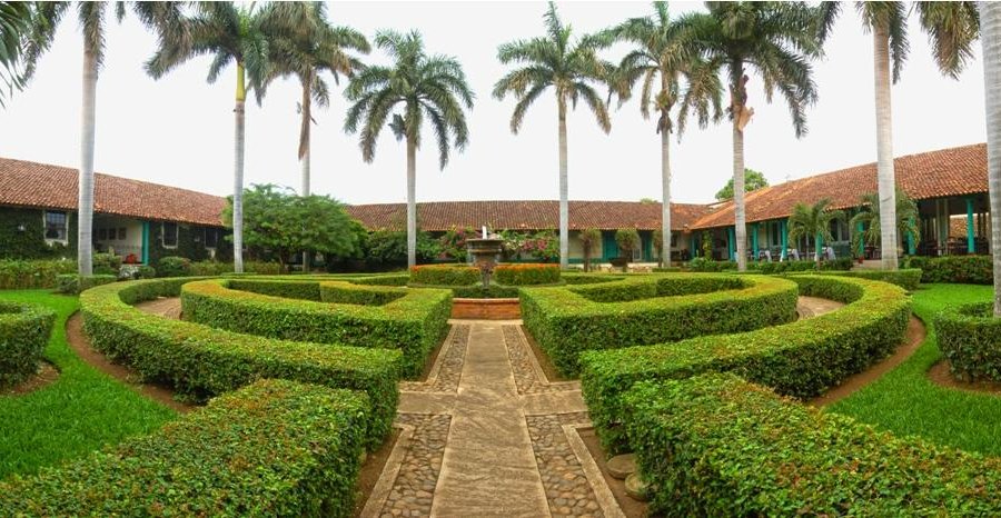 Jardin