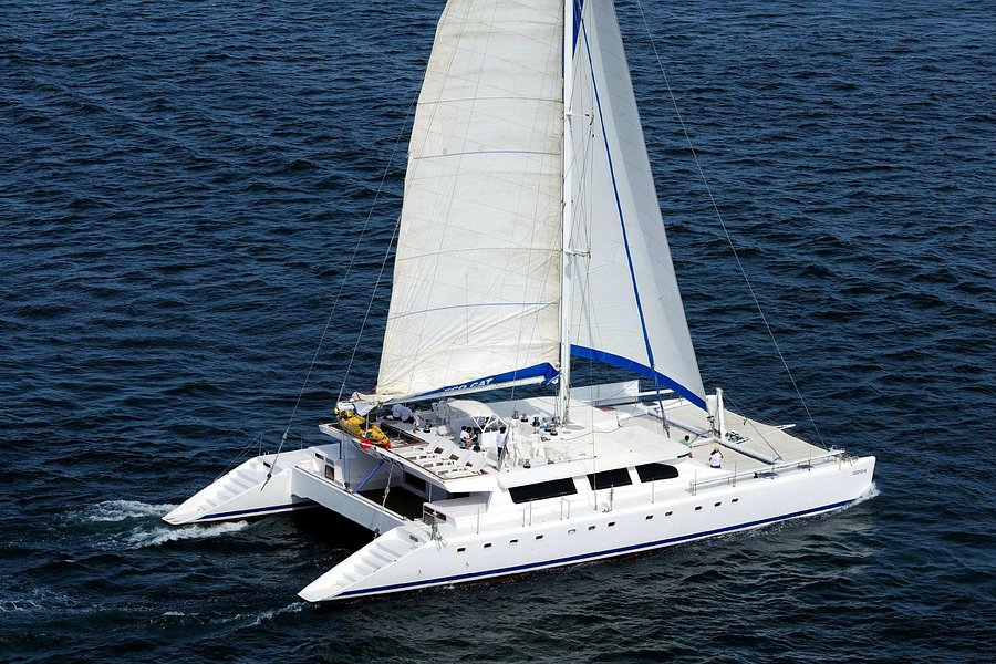 ecocat catamaran tours cabo san lucas reviews