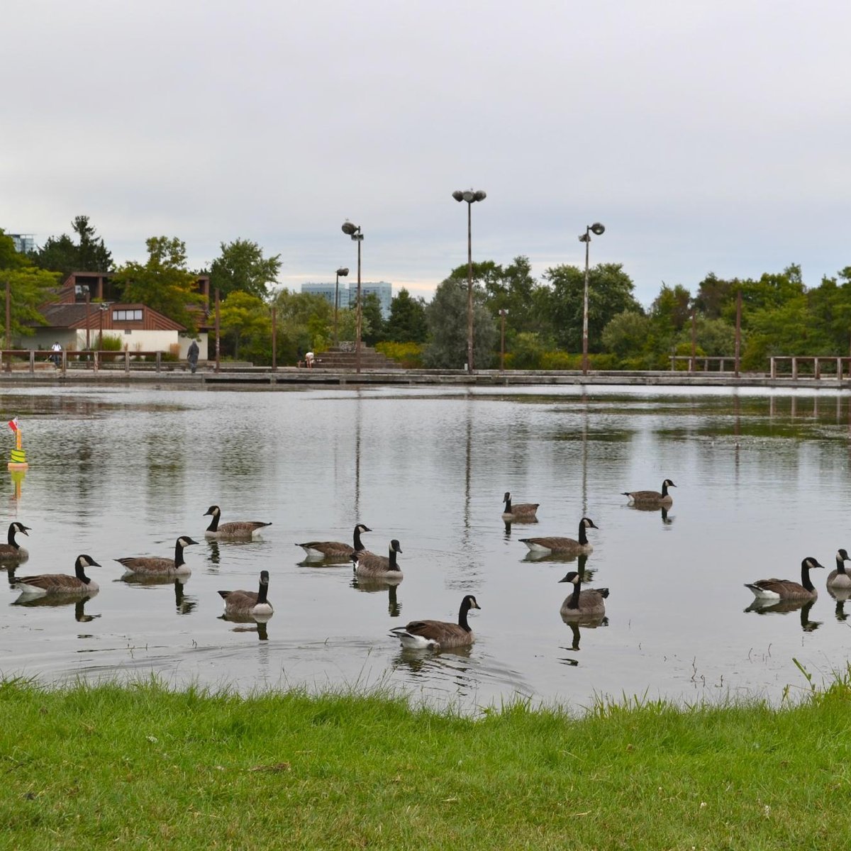 Парк Хамбер. Хамбер Бэй район Торонто. Humber Bay. Humber Bay Shores Toronto.