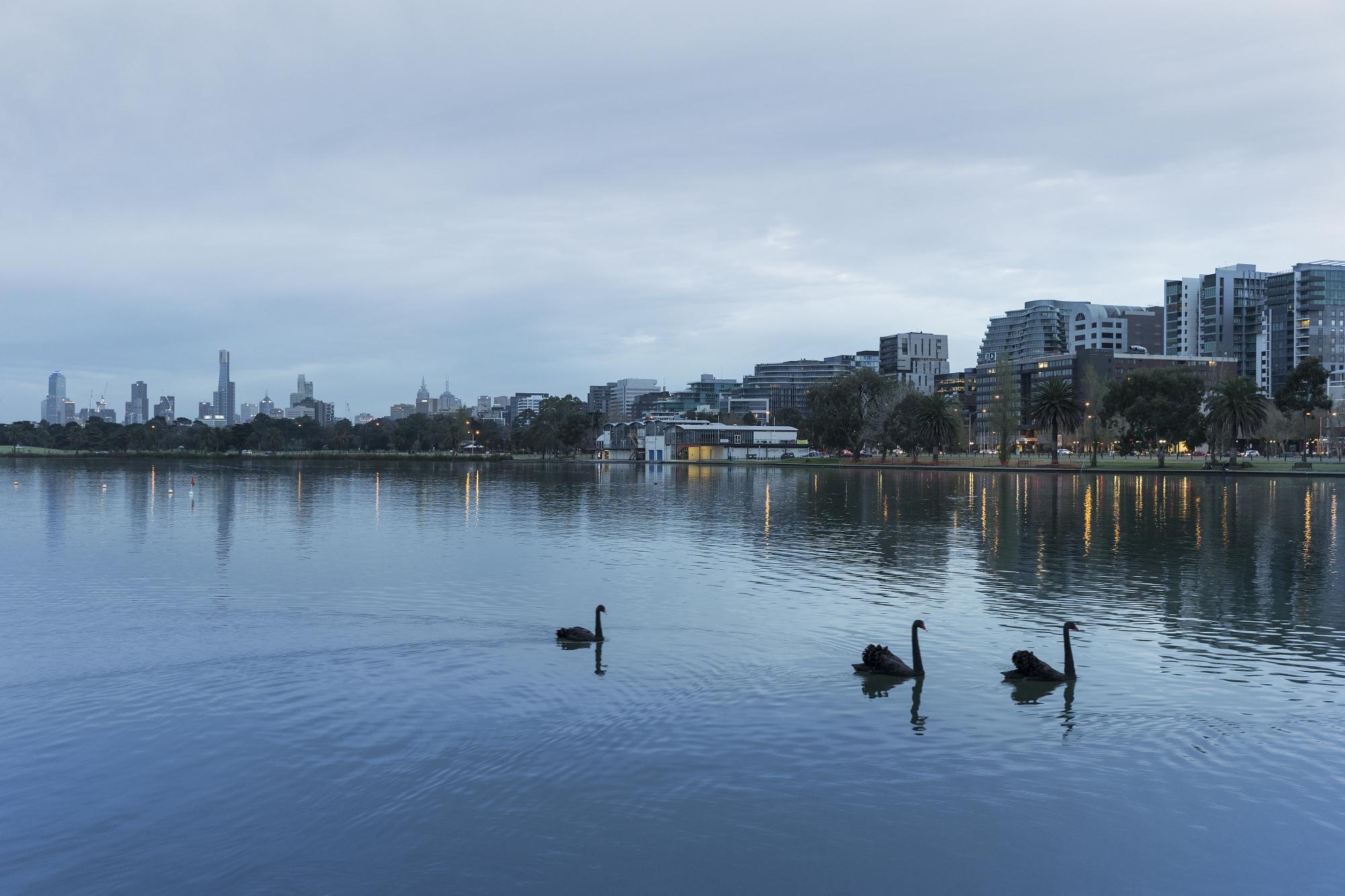 Hotel photo 66 of Mercure Melbourne Albert Park.