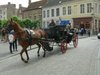 Michel V