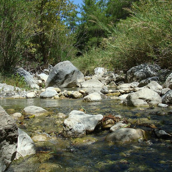 Agia Irini Gorge (Sougia) - All You Need to Know BEFORE You Go