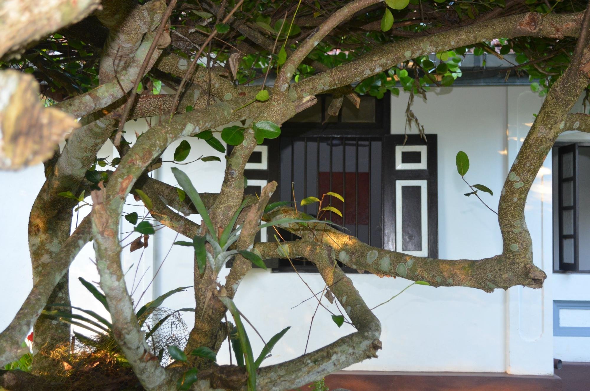 HERITAGE BUNGALOW - Lodge Reviews (Avissawella, Sri Lanka) HERITAGE BUNGALOW -  Lodge Reviews (Avissawella, Sri Lanka)
