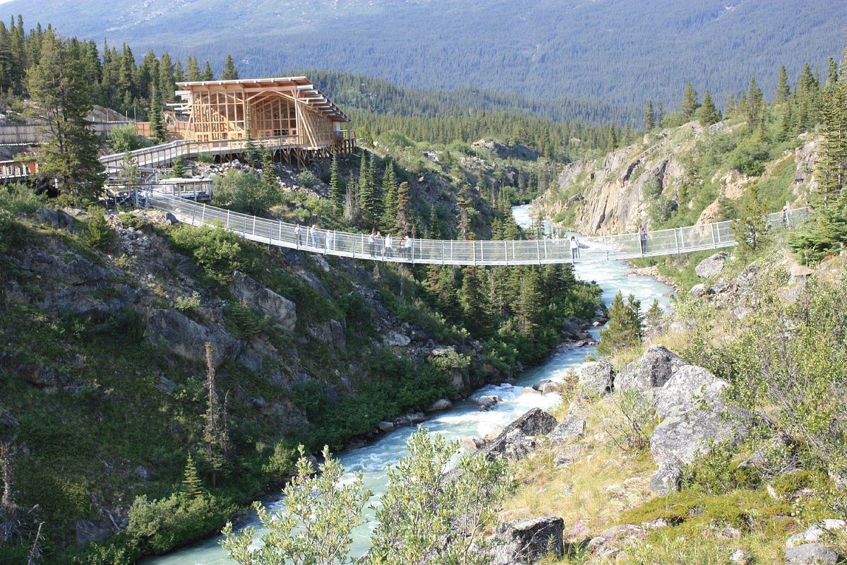Vista Del Puente Colgante De La Suspensión Del Río Salmón En El