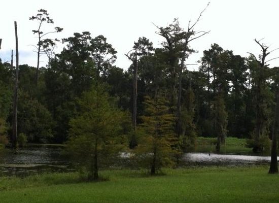 lovely scenery