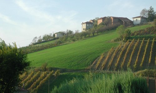 Monteghelino