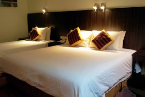 Room & Suite