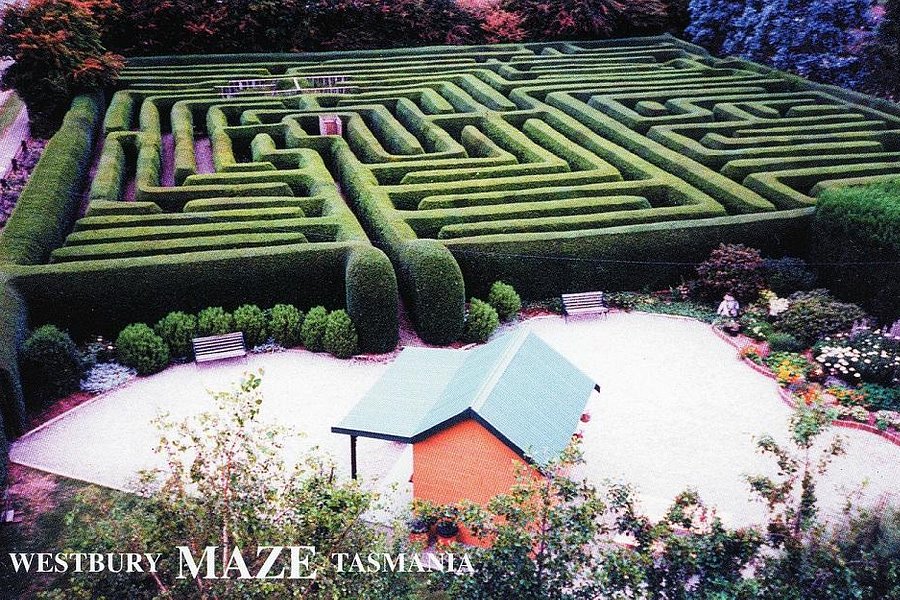 Westbury Maze & Cafe image