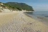 elyvito