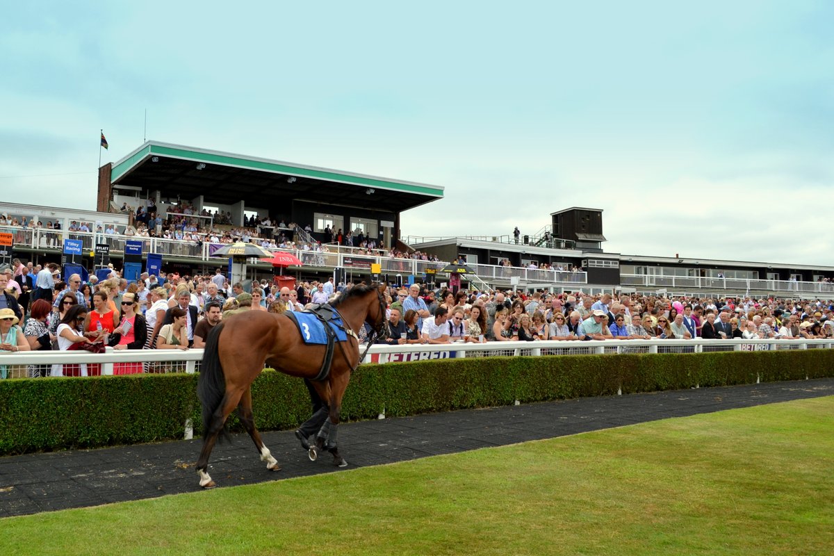 Market Rasen Racecourse - All You Need to Know BEFORE You Go (2024)