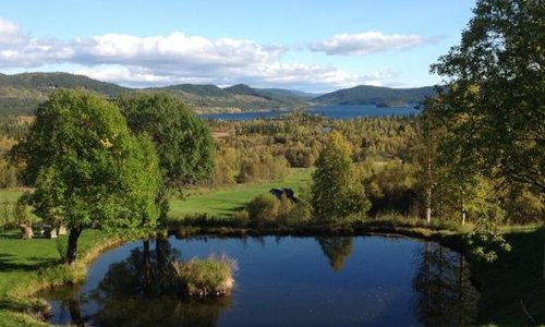 Utsikten fra Grønolens spisesal og entre.