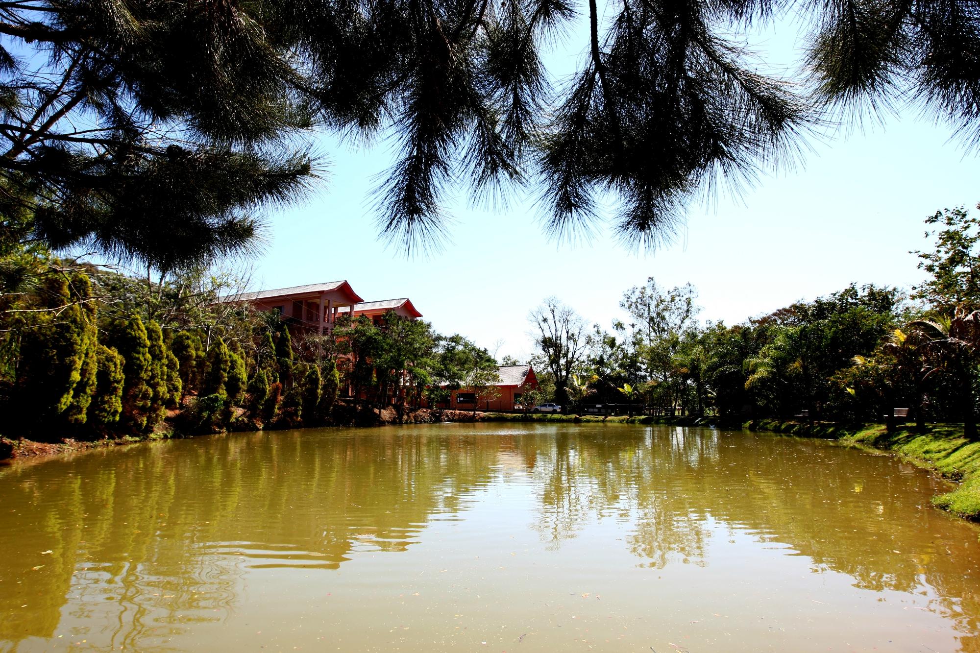Hotel photo 8 of Oscar Inn Eco Resort.