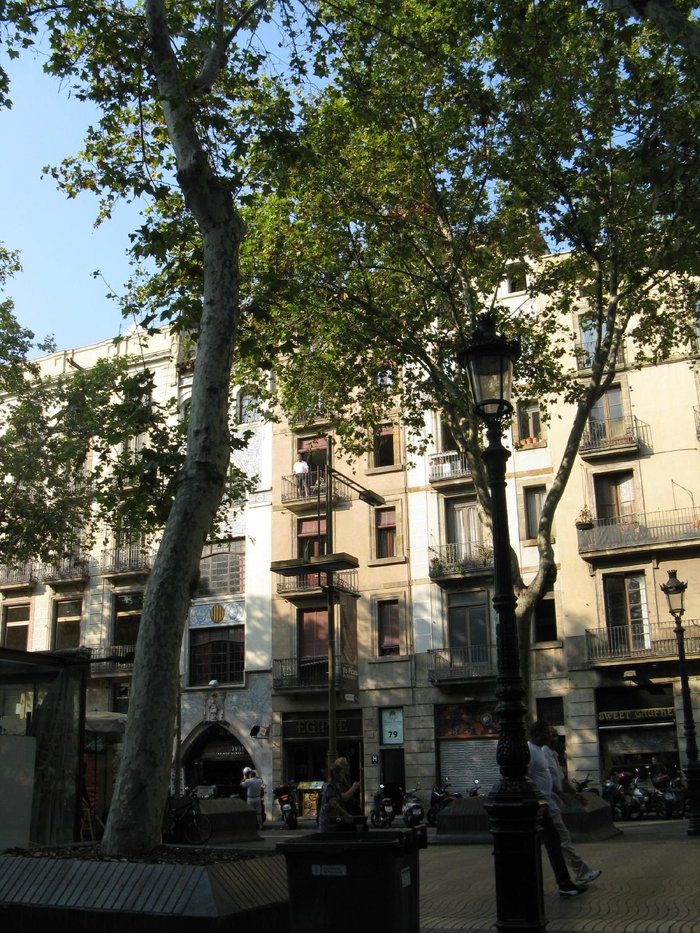 Imagen 3 de Hostal Las Flores Ramblas Barcelona