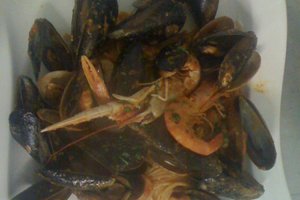 Cibo