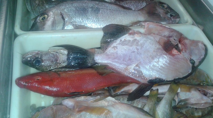 pescados fel dia