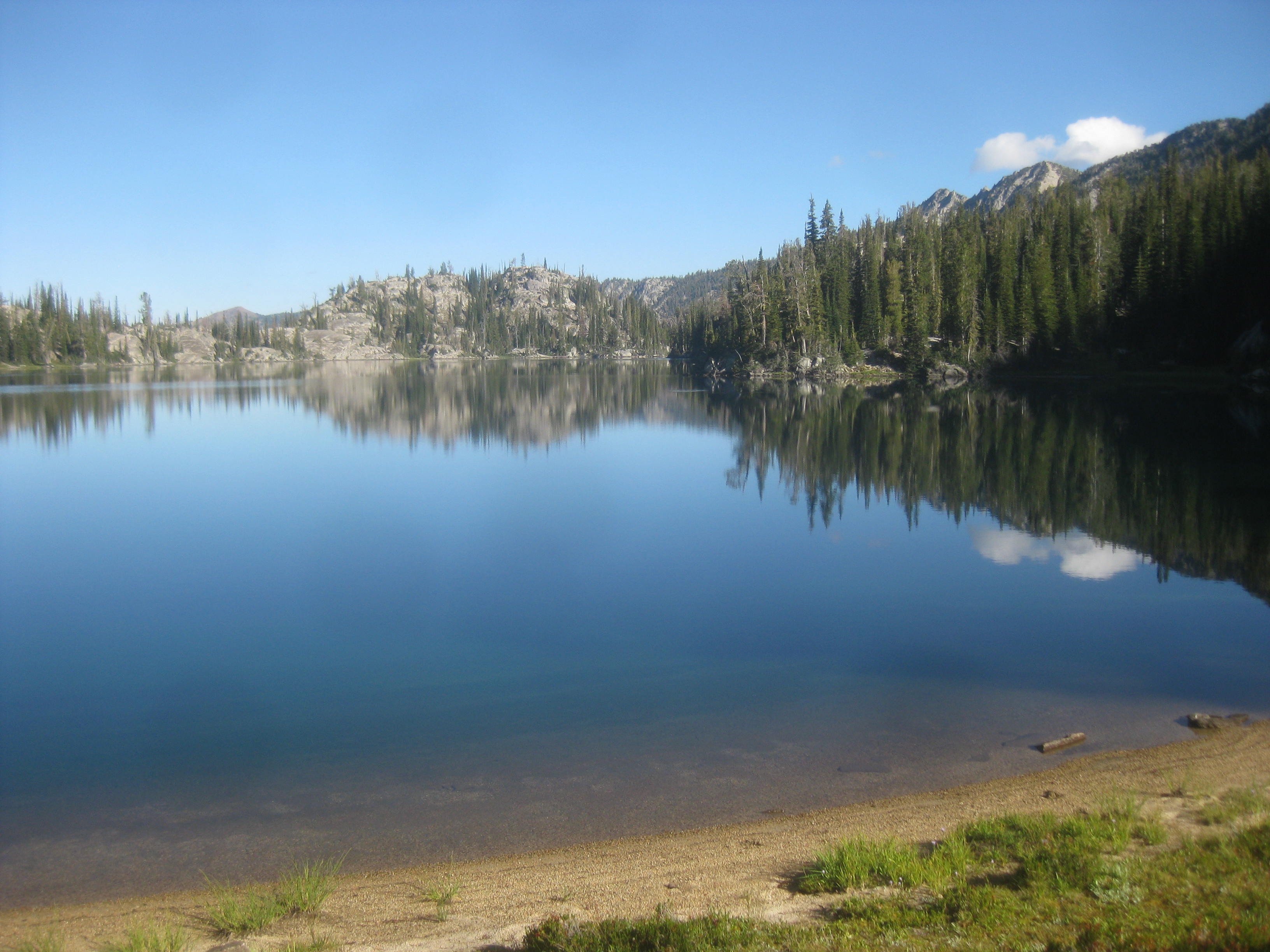 WALLOWA-WHITMAN NATIONAL FOREST (Oregon): Ce Qu'il Faut Savoir