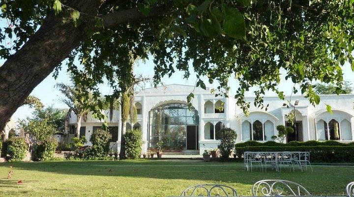Garden on Front