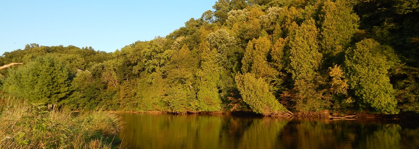 Property View of River