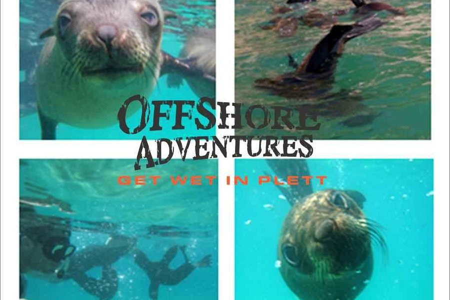 Offshore Adventures image