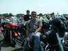 softail99